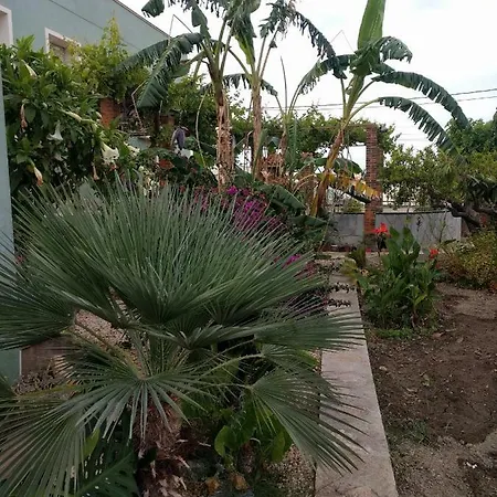 Ferienhaus Casa Baleso Deltebre