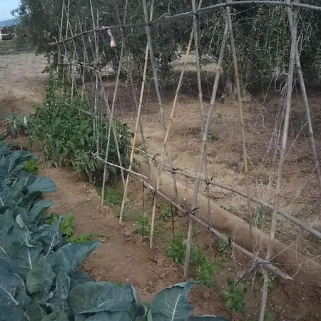 Ferienhaus Casa Baleso Deltebre